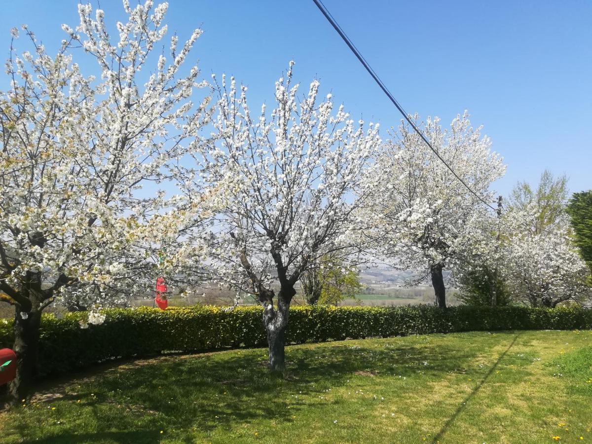 Locazione Turistica Cascina Pela Leilighet Castagnole delle Lanze Eksteriør bilde